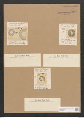 Campylodiscus polaris Ehr. (de-Toni-Nr.: Genus 57, Species 2534) Zeichnungen Sammlung Grunow Nr. 5034 (NHMW-BOT-W0373292)